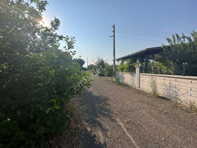 Arsa-Konut İmarlı