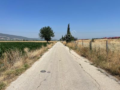 Arsa-Tarla