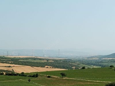 Arsa-Tarla