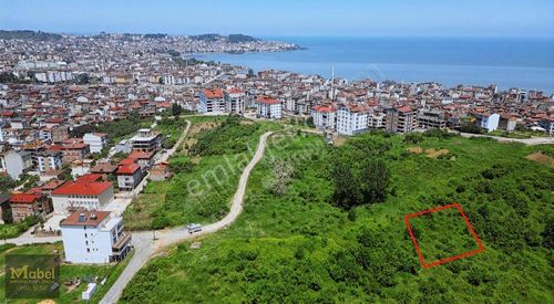 Arsa-Konut İmarlı