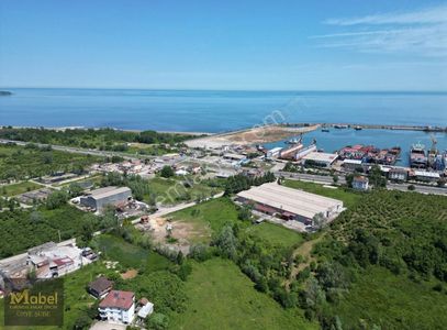 Arsa-Ticari İmarlı