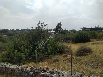 Arsa-Konut İmarlı