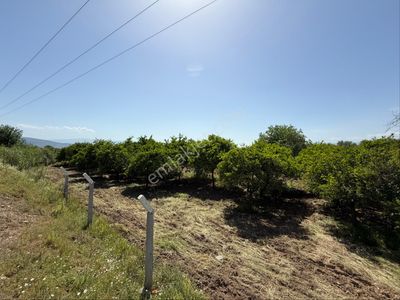 Arsa-Tarla
