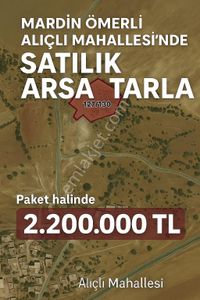 Arsa-Arazi