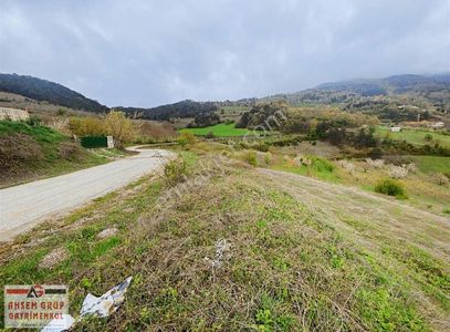 Arsa-Tarla