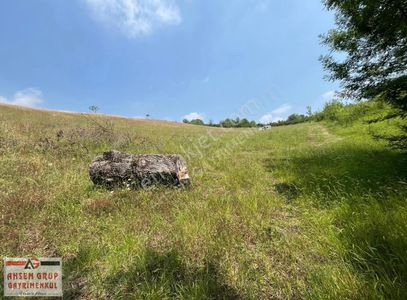 Arsa-Tarla