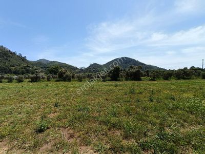 Arsa-Tarla