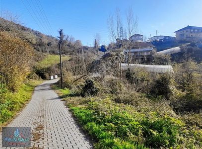 Arsa-Tarla