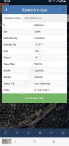 Arsa-Zeytinlik