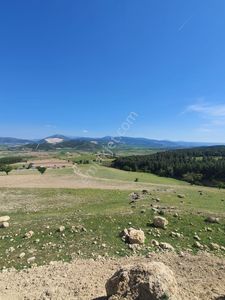 Arsa-Tarla