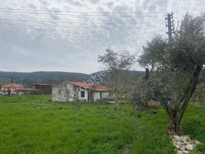 Arsa-Tarla