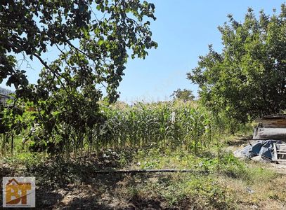 Arsa-Bağ & Bahçe