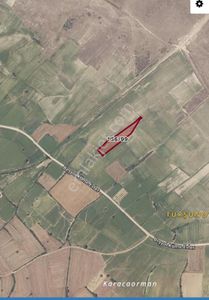 Arsa-Tarla