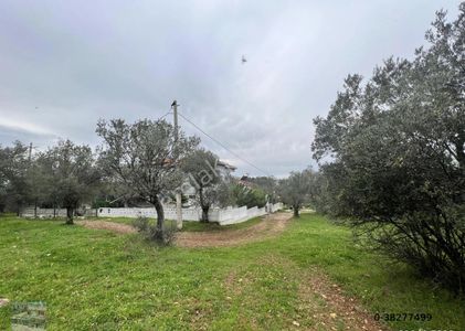 Arsa-Muhtelif Arsa