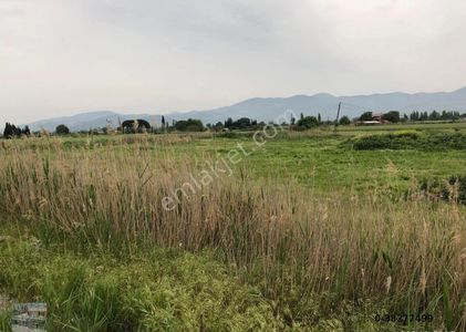 Arsa-Muhtelif Arsa