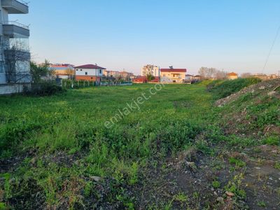 Arsa-Konut İmarlı