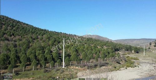 Arsa-Muhtelif Arsa