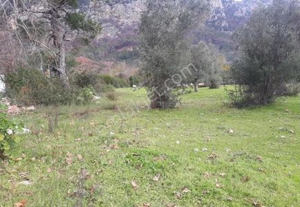 Arsa-Konut İmarlı
