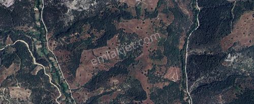 Arsa-Tarla