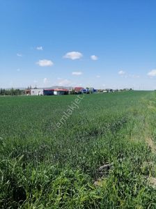 Arsa-Tarla