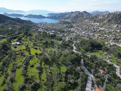 Arsa-Villa İmarlı