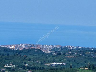 Arsa-Arazi
