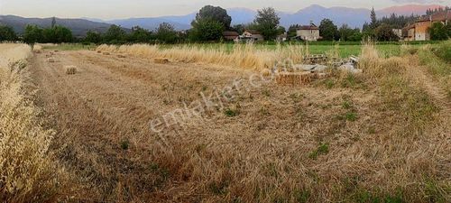 Arsa-Özel Kullanım