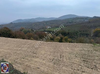Arsa-Tarla