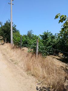 Arsa-Konut İmarlı
