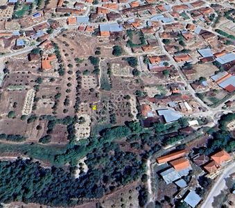 Arsa-Arazi