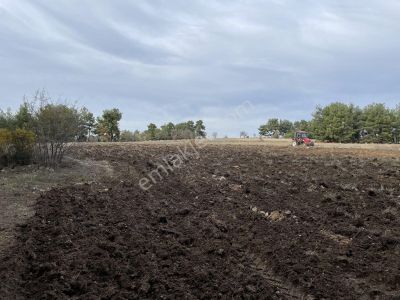 Arsa-Tarla