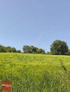 Arsa-Tarla