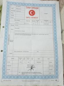 Konut-Daire