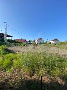 Arsa-Tarla