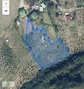 Arsa-Tarla