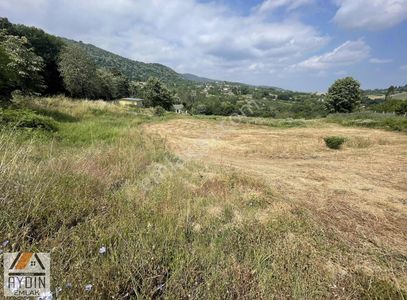 Arsa-Tarla