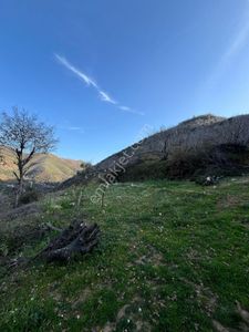 Arsa-Özel Kullanım