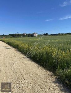 Arsa-Tarla