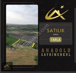 Arsa-Tarla