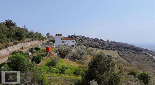 Arsa-Tarla