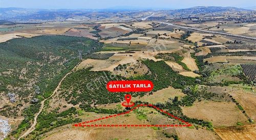 Arsa-Tarla
