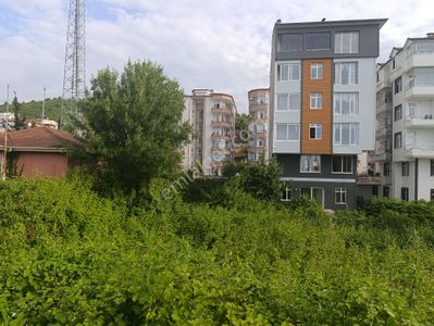 Arsa-Konut İmarlı