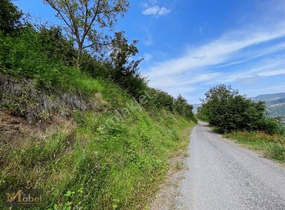 Arsa-Tarla