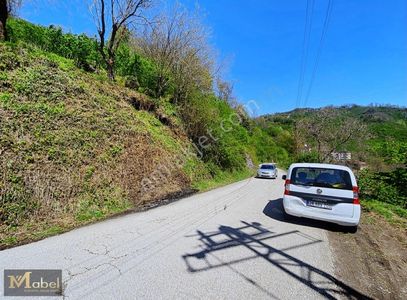 Arsa-Konut İmarlı