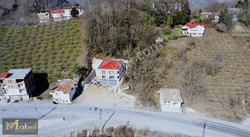 Arsa-Bağ & Bahçe
