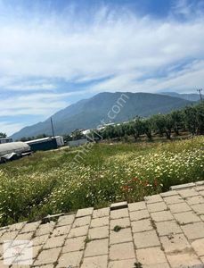 Arsa-Ticari İmarlı