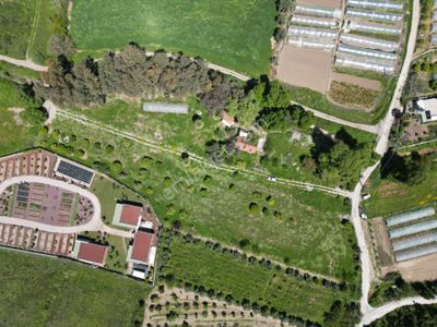 Arsa-Tarla