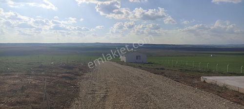 Arsa-Bağ & Bahçe