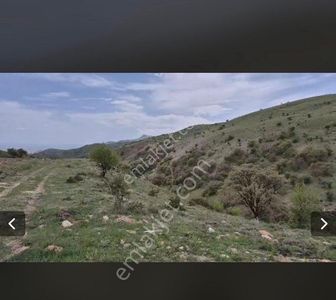 Arsa-Bağ & Bahçe