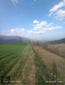 Arsa-Tarla